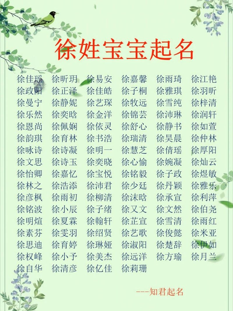 宝宝取名